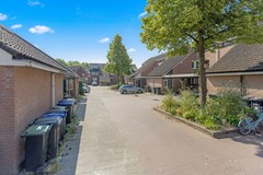 Cannenburg 83-9.jpg